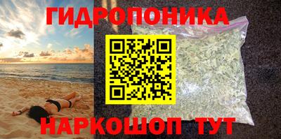 ГАЛЛЮЦИНОГЕННЫЕ ГРИБЫ Камышлов