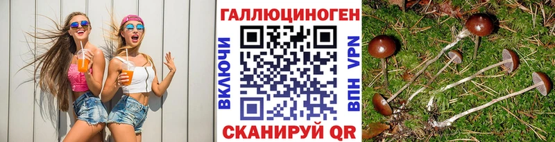 ОМГ ОМГ ссылки даркнет сайт Нальчик Псилоцибиновые грибы мицелий