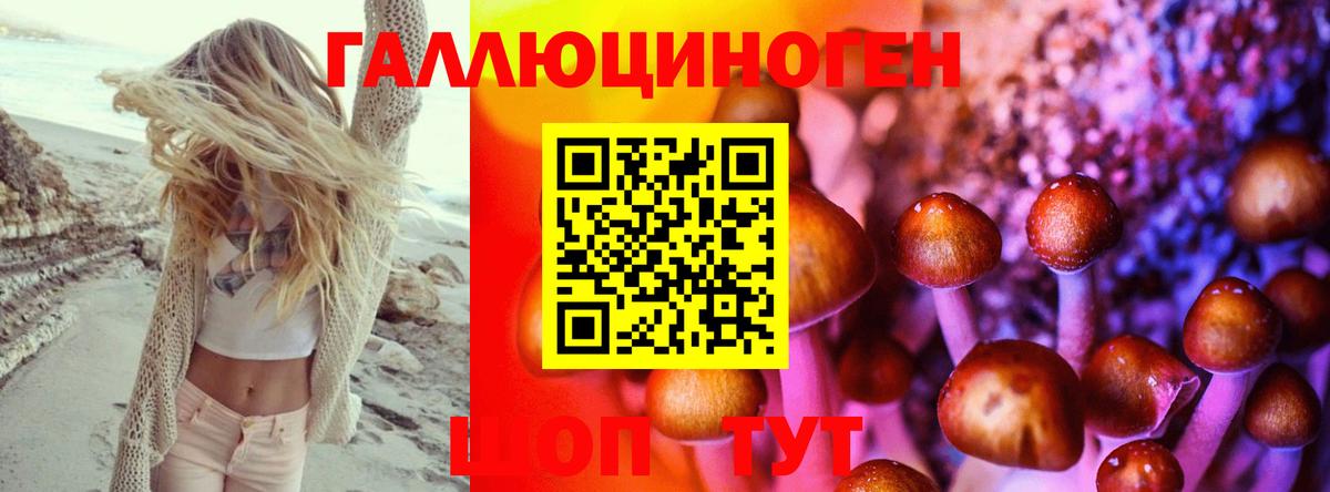 Псилоцибиновые грибы MAGIC MUSHROOMS  Вход с VPN  Нальчик 