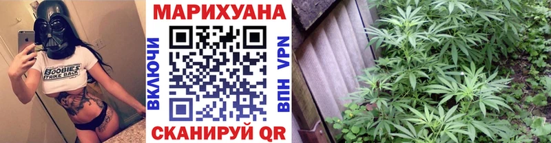 Канабис OG Kush  Нальчик 
